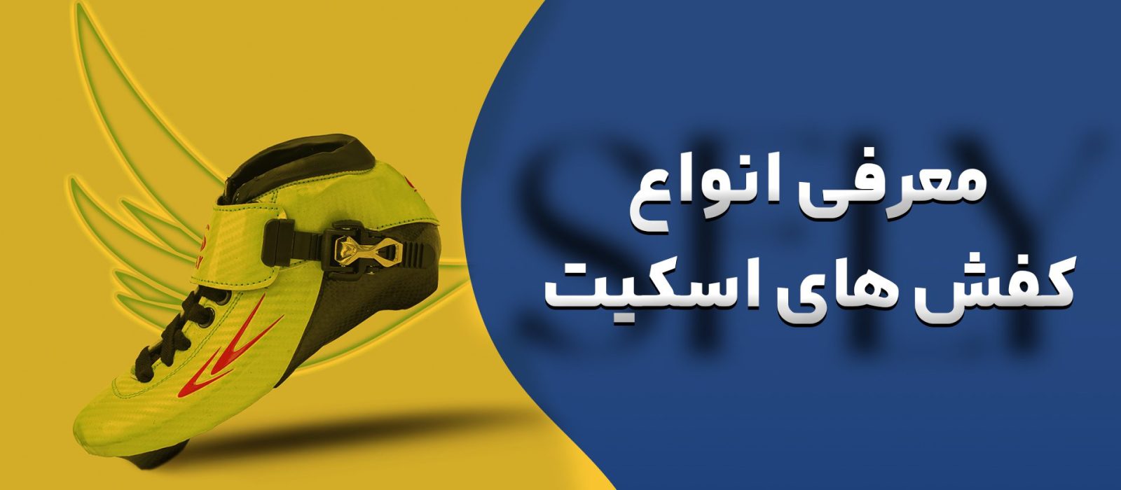 معرفی انواع کفش های اسکیت