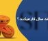 اسکیت