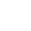 sfly.logo